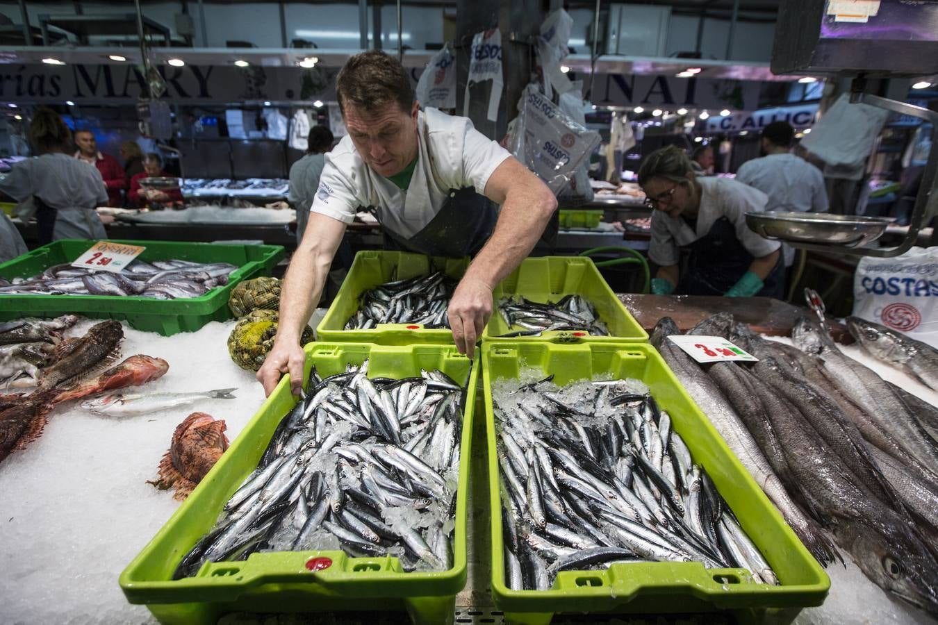 Fotos: El bocarte llega a la plaza