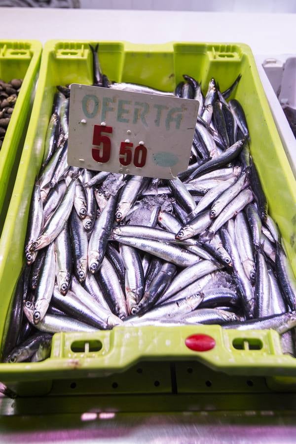 Fotos: El bocarte llega a la plaza