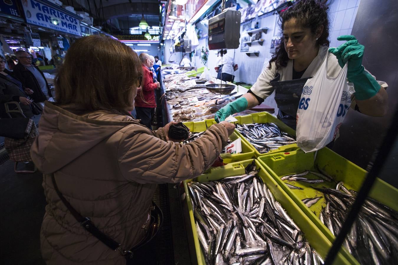 Fotos: El bocarte llega a la plaza