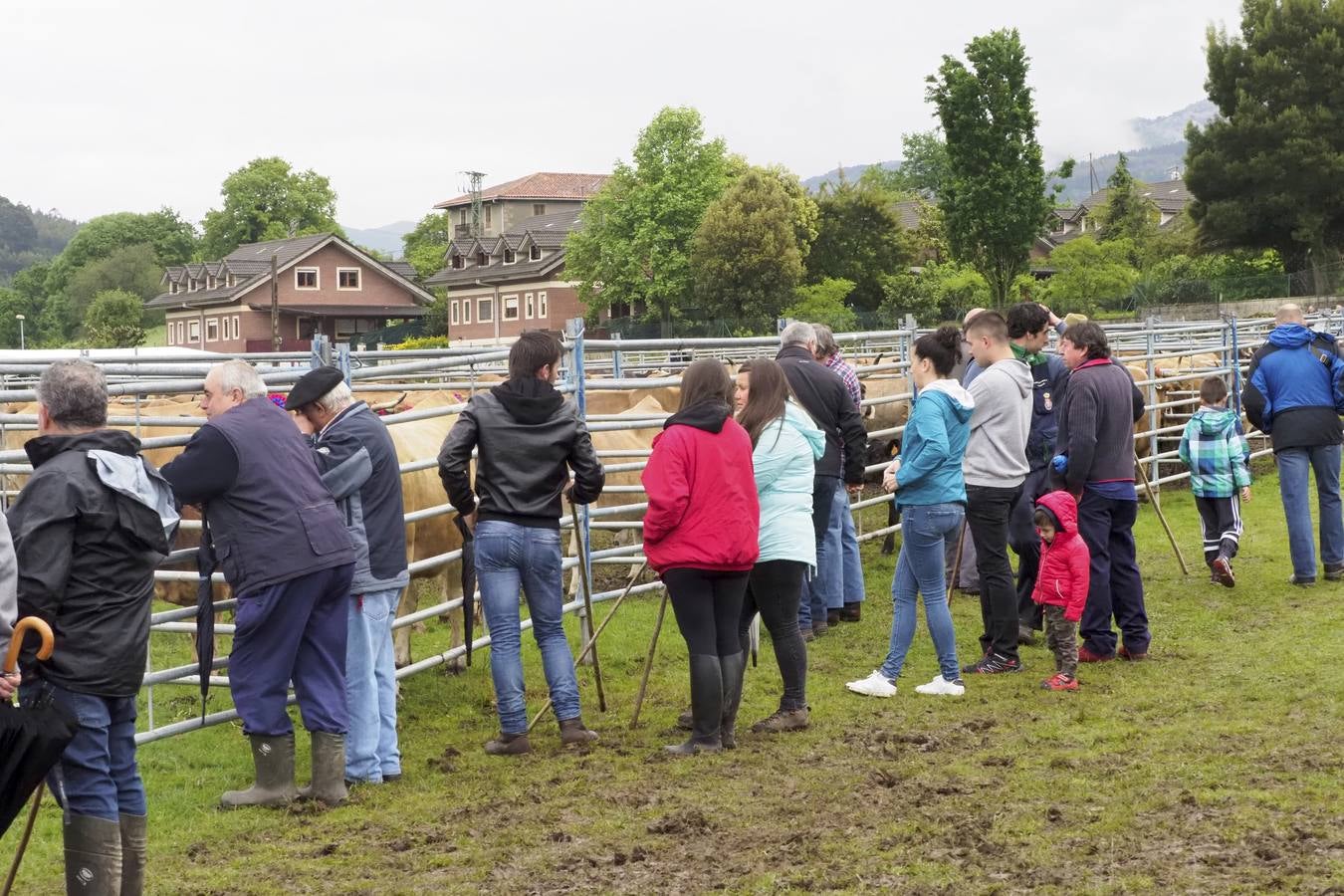 El municipio de Guriezo acogió su tradicional feria ganadera, en la que pese almal tiempo hubo una gran participación.