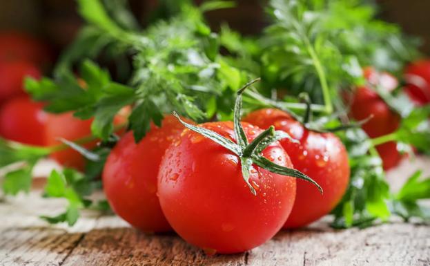 El tomate, protagonista de la cocina europea, algo impensable hace 500 años. 