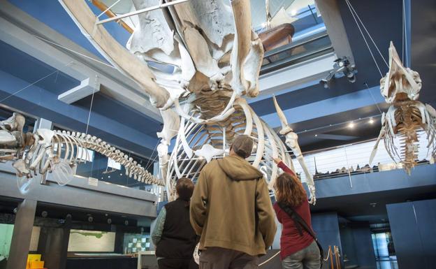 Exposición del Museo Marítimo del Cantábrico