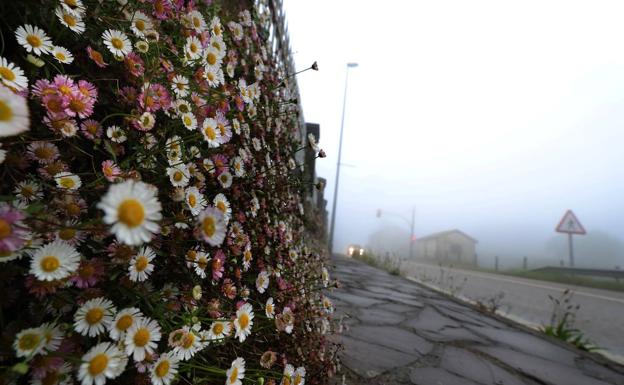 La niebla está afectando a algunos valles y zonas de costa de Cantabria.