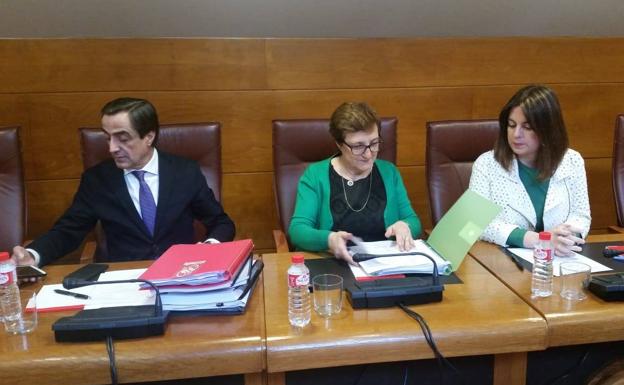 «La inmensa mayoría de la gestión contractual del SCS es correcta», se defiende la consejera de Sanidad en el Parlamento