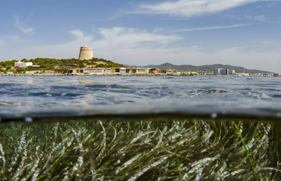 Pescadores, payeses y chefs apuestan por recuperar el sabor local para atraer un turismo sostenible