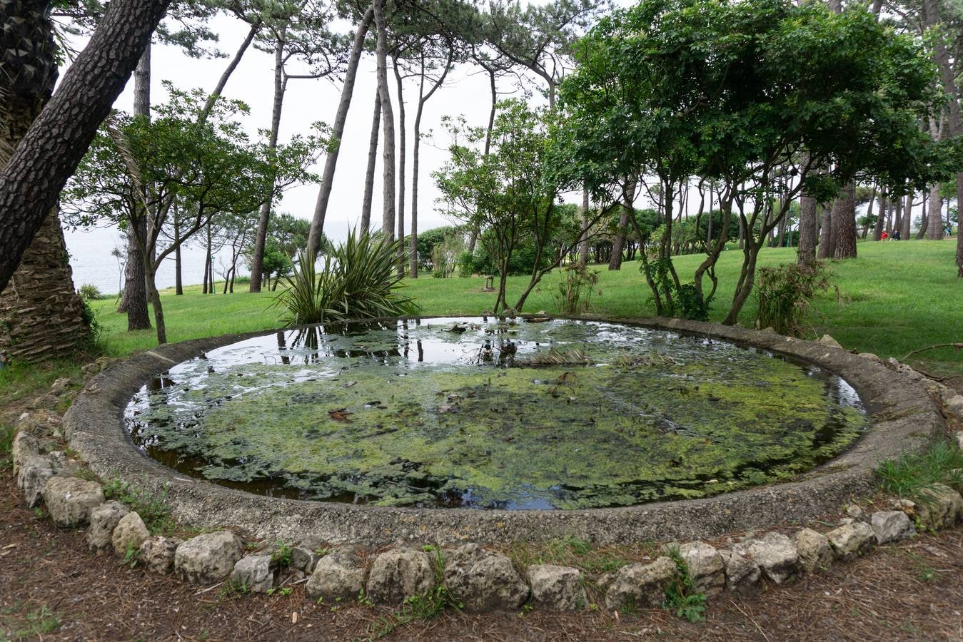 'Rosa de los Vientos', de Adolfo Shlosser en 1988. De esta instalación solo se conserva el estanque de agua.