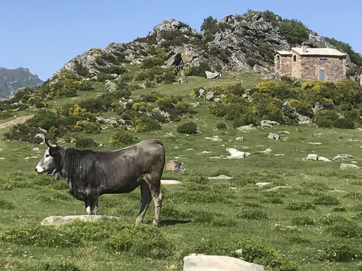 La marcha de los árabes permitió a los pobladores de la montaña ocupar un territorio rico en paisajes que hoy alberga aldeas con encanto y atractivos museos