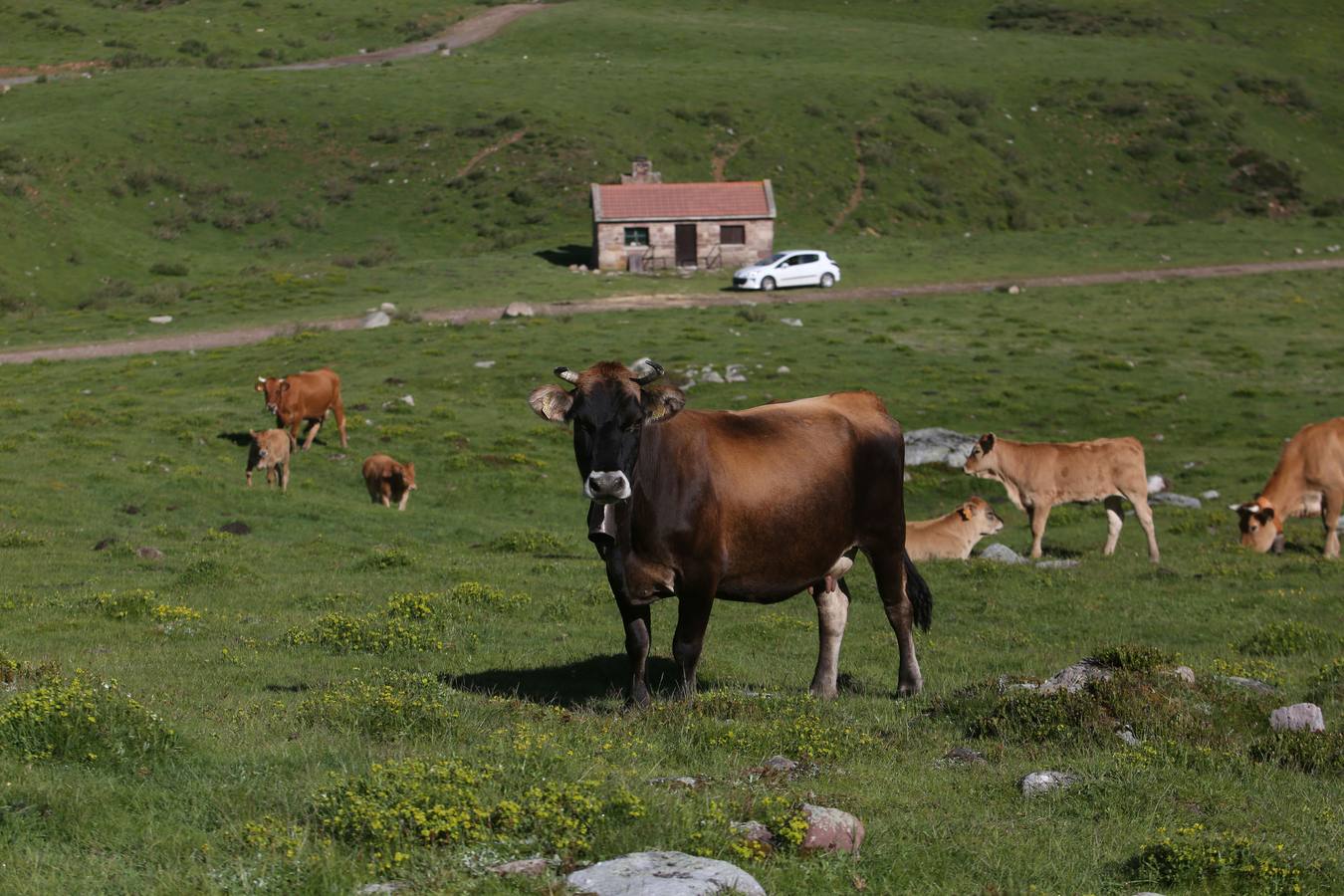 La marcha de los árabes permitió a los pobladores de la montaña ocupar un territorio rico en paisajes que hoy alberga aldeas con encanto y atractivos museos