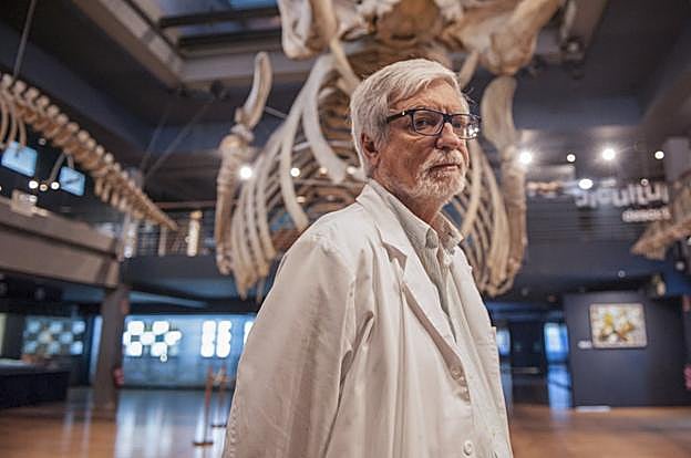 Gerardo García-Castrillo se hizo cargo de la dirección de este museo en el año 2011. 