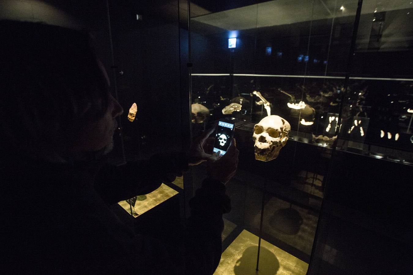 Fotos: Así es el Museo de la Evolución Humana y el parque arqueológico de Atapuerca