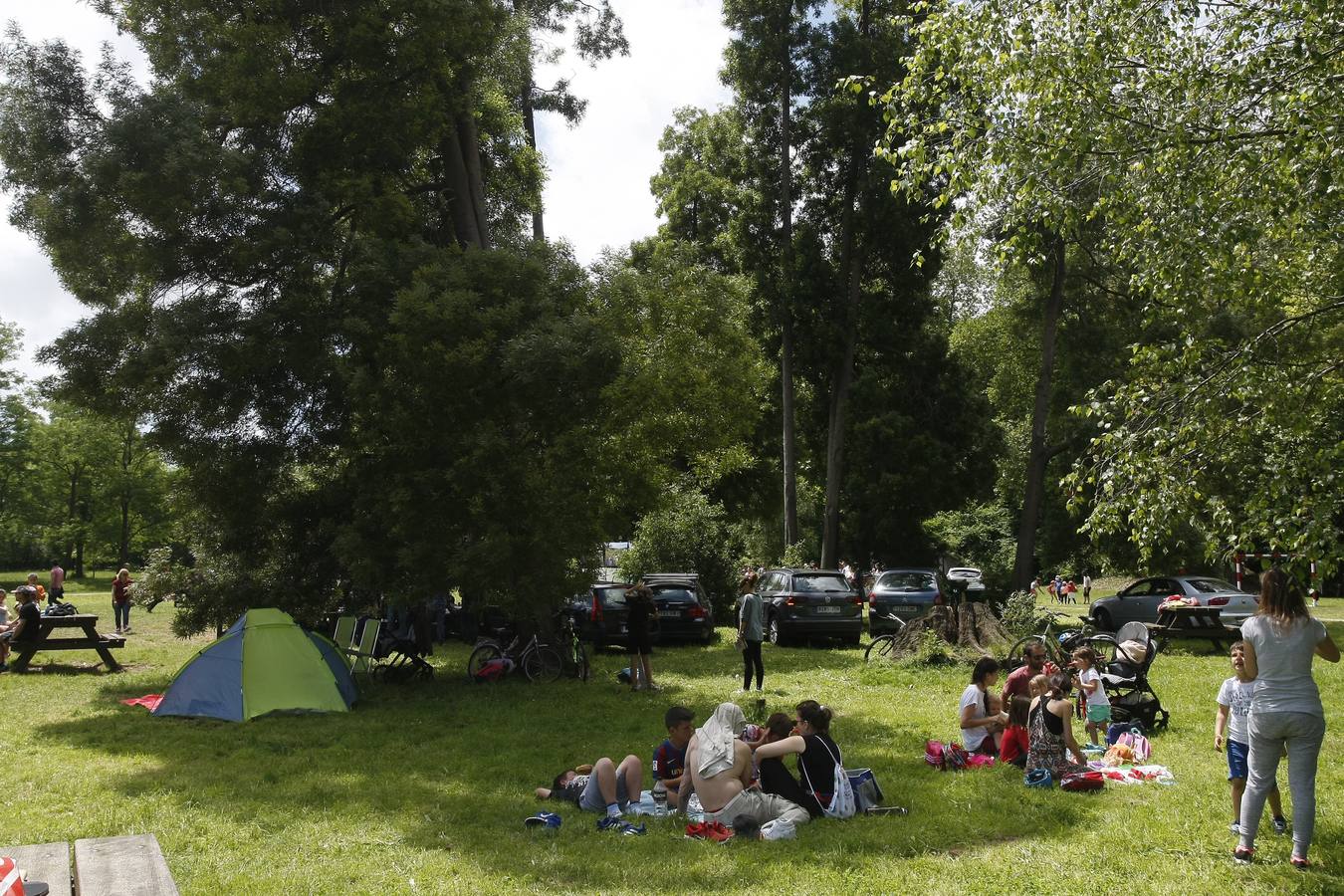 Fotos: Torrelavega celebra la naturaleza