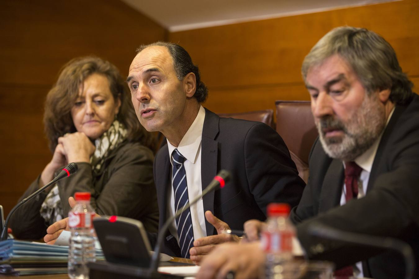 Mercedes Toribio (PP), Ignacio Diego (PP) y Fernando Fernández (PRC), durante la comisión de Ecomasa.