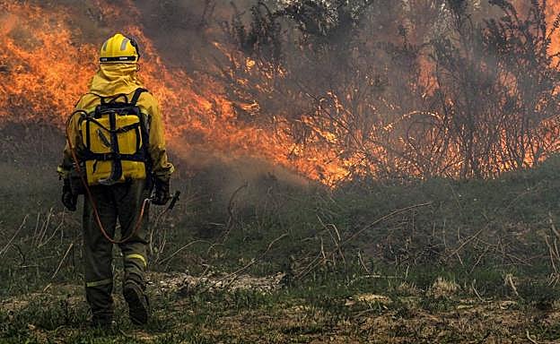 El Gobierno convoca en julio la primera reunión de la 'Mesa del Fuego'