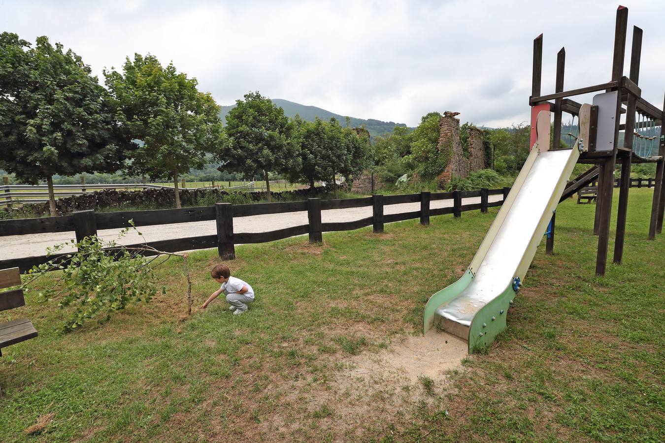 Fotos: Árboles completamente destrozados en el área recreativa de Terán