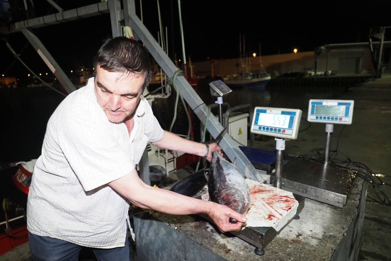 Fotos: Descarga de bonito, esta madrugada en los puertos de Laredo y Santoña