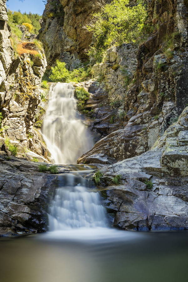 Sierra de Guadarrama. Ávila/Madrid/Segovia. Treinta tipos de vegetación. 33.960 hectáreas.