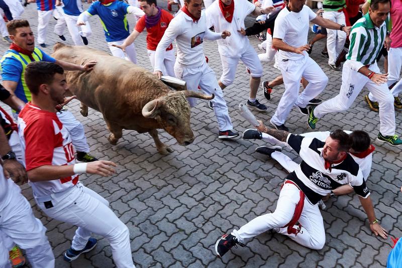 Los astados protagonizan una carrera rápida con algunos momentos de tensión