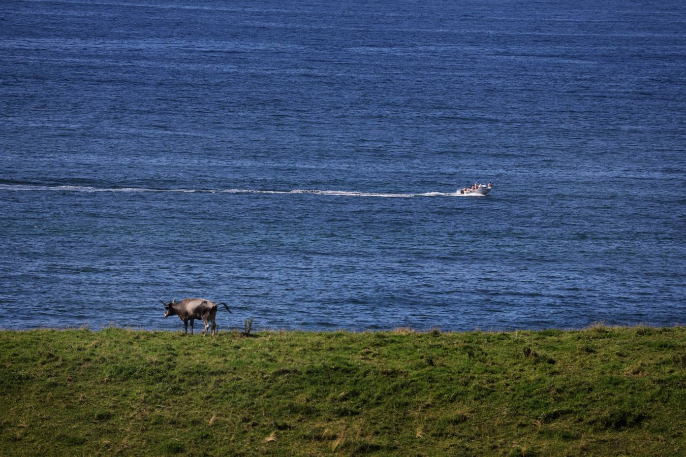 Fotos: Las temperaturas superan los 30 grados en varios puntos de Cantabria