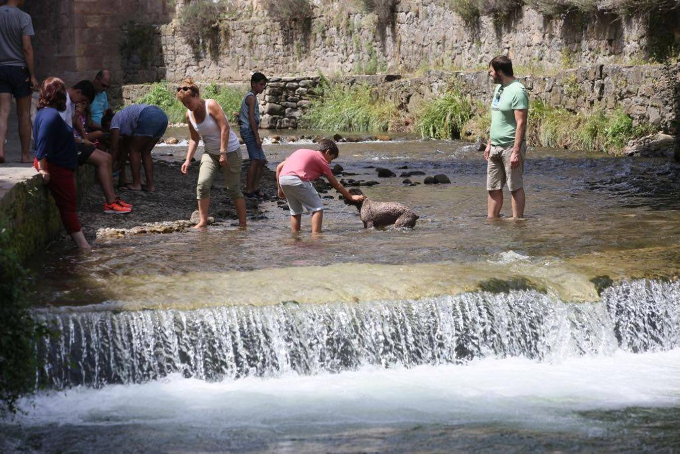 Fotos: Las temperaturas superan los 30 grados en varios puntos de Cantabria