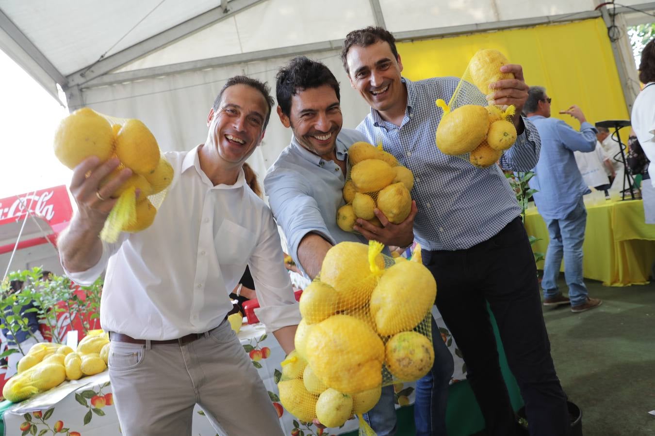 Fotos: La fiesta solidaria de los limones en Novales