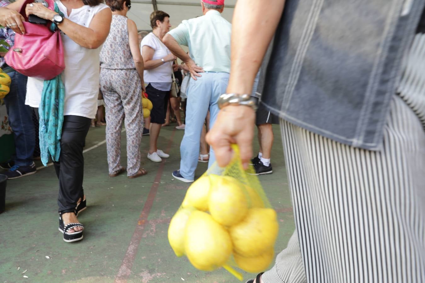 Fotos: La fiesta solidaria de los limones en Novales