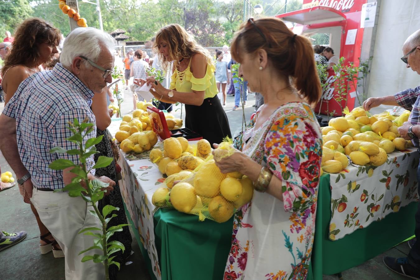 Fotos: La fiesta solidaria de los limones en Novales