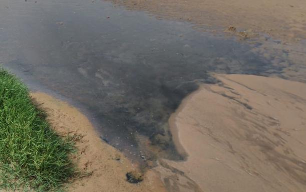 Imagen principal - El Seprona recomienda acotar una zona de la playa de Mogro ante un posible vertido fecal