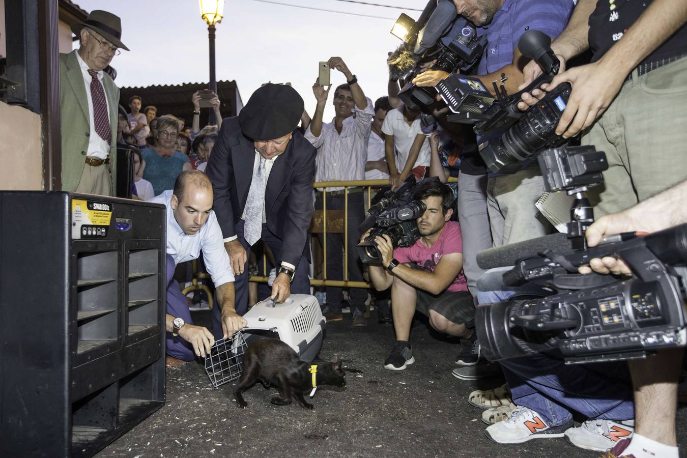 Los animalistas piden que la gata negra de Carasa sea reemplazada por «un  peluche o una persona disfrazada» | El Diario Montañés