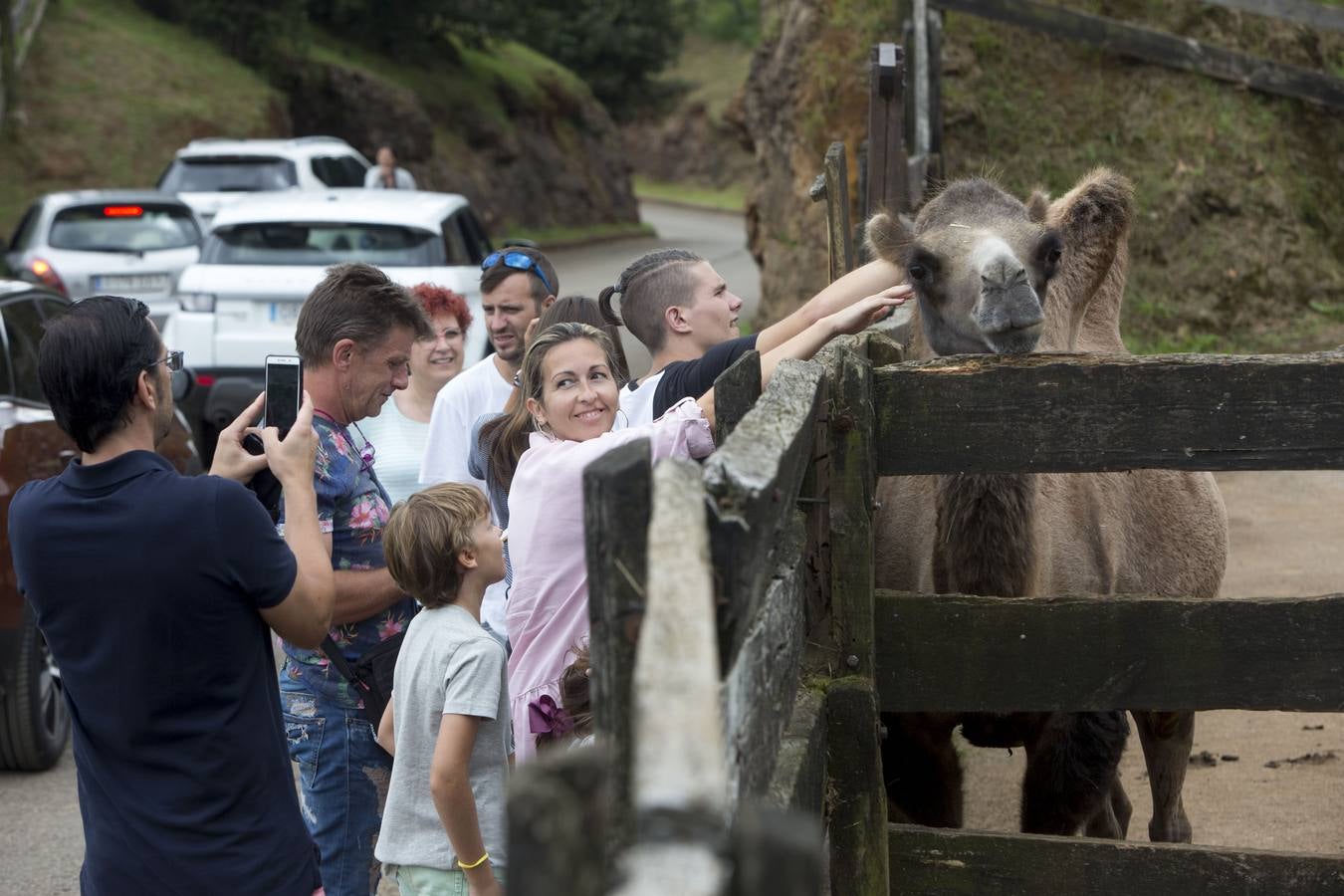 Fotos: Cabárceno, foco de turismo