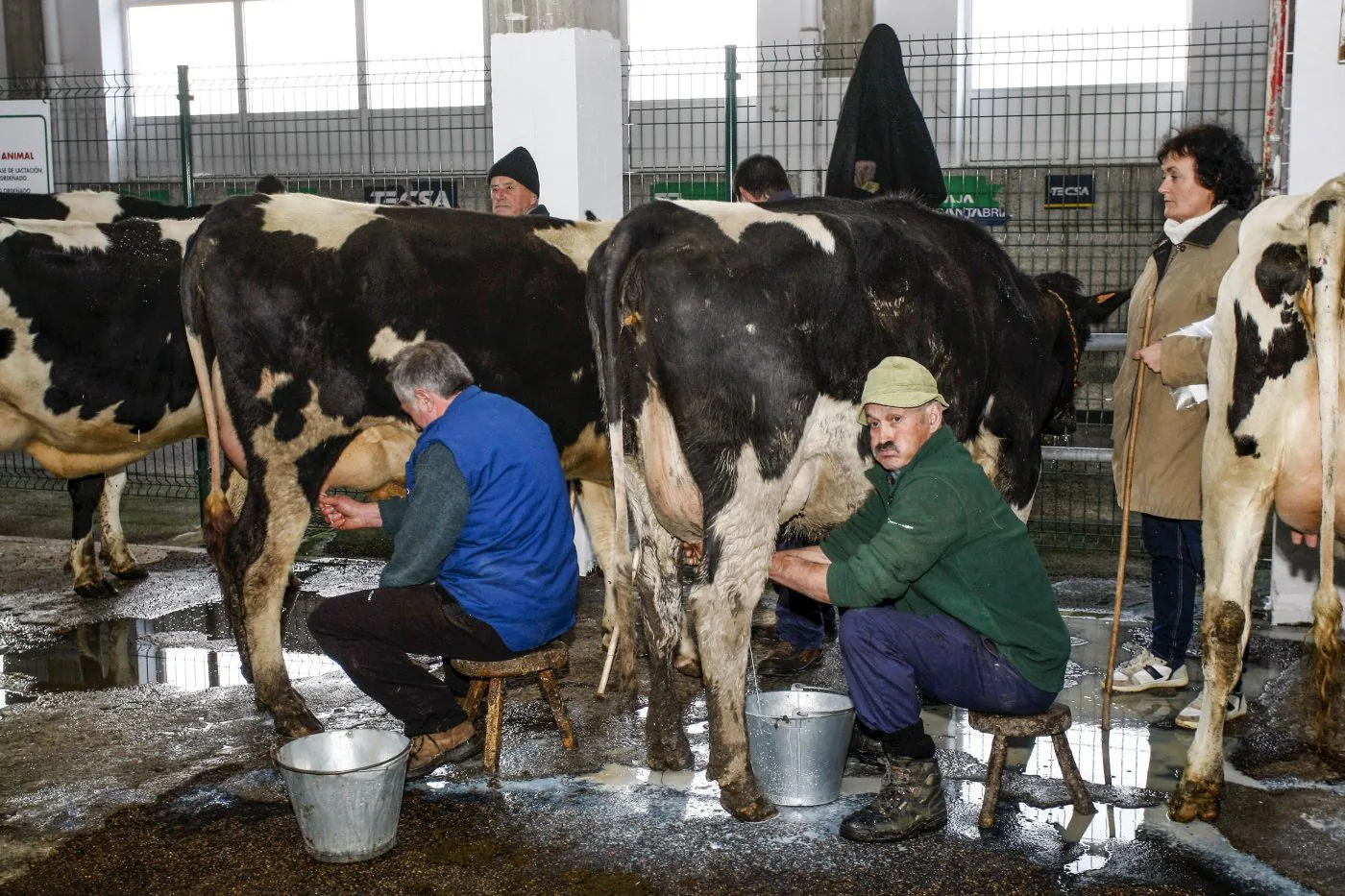El número de ganaderos lácteos sigue cayendo en la región y preocupa que siga esta dinámica.