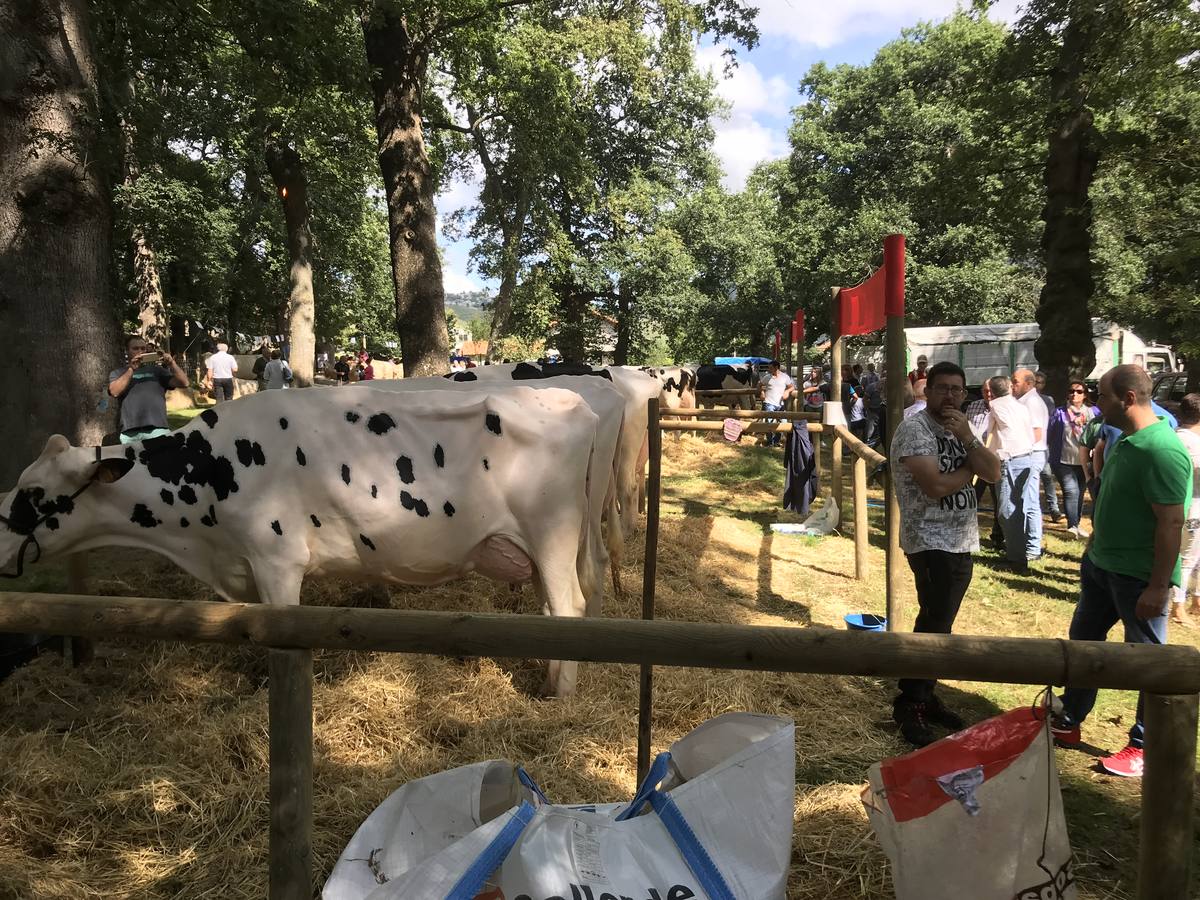 Numeroso público en la feria