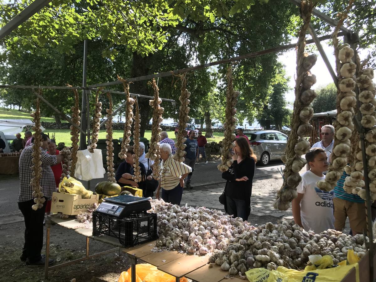 Numeroso público en la feria