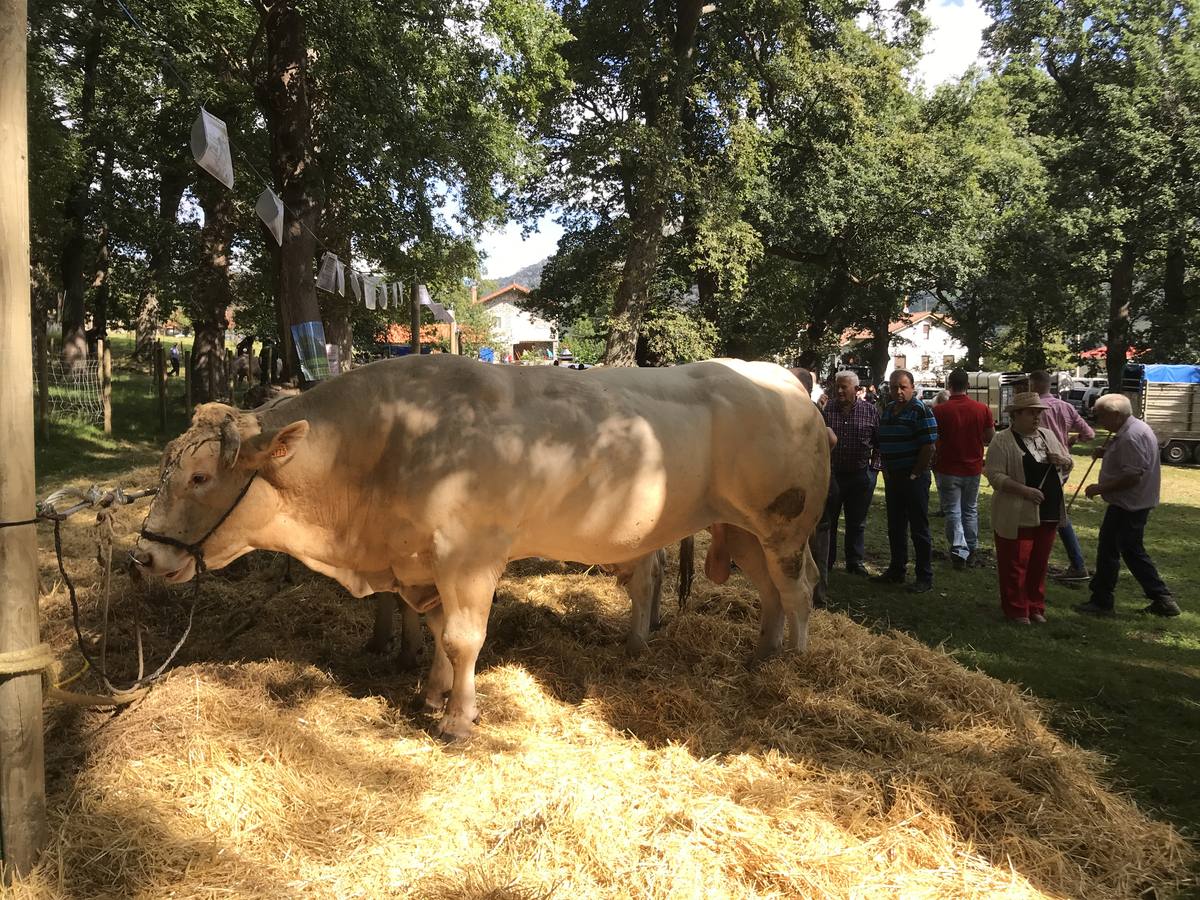 Numeroso público en la feria