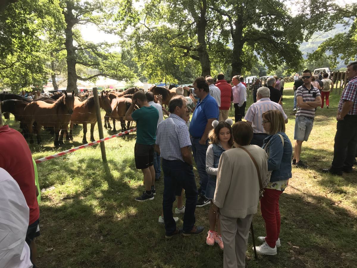 Numeroso público en la feria