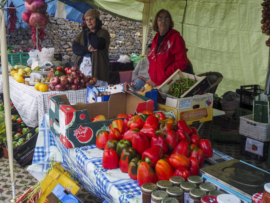 Desde el 8 de septiembre, habrá un mercado con más de 30 puestos de productos agroalimentarios.