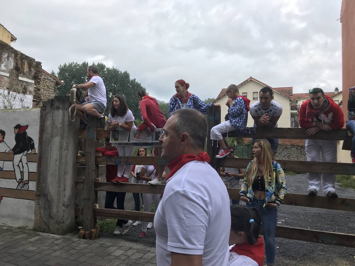 Fotos: Imágenes del primer encierro de las fiestas de Ampuero