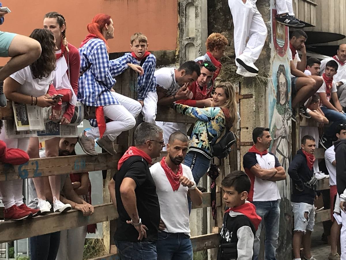 Fotos: Imágenes del primer encierro de las fiestas de Ampuero