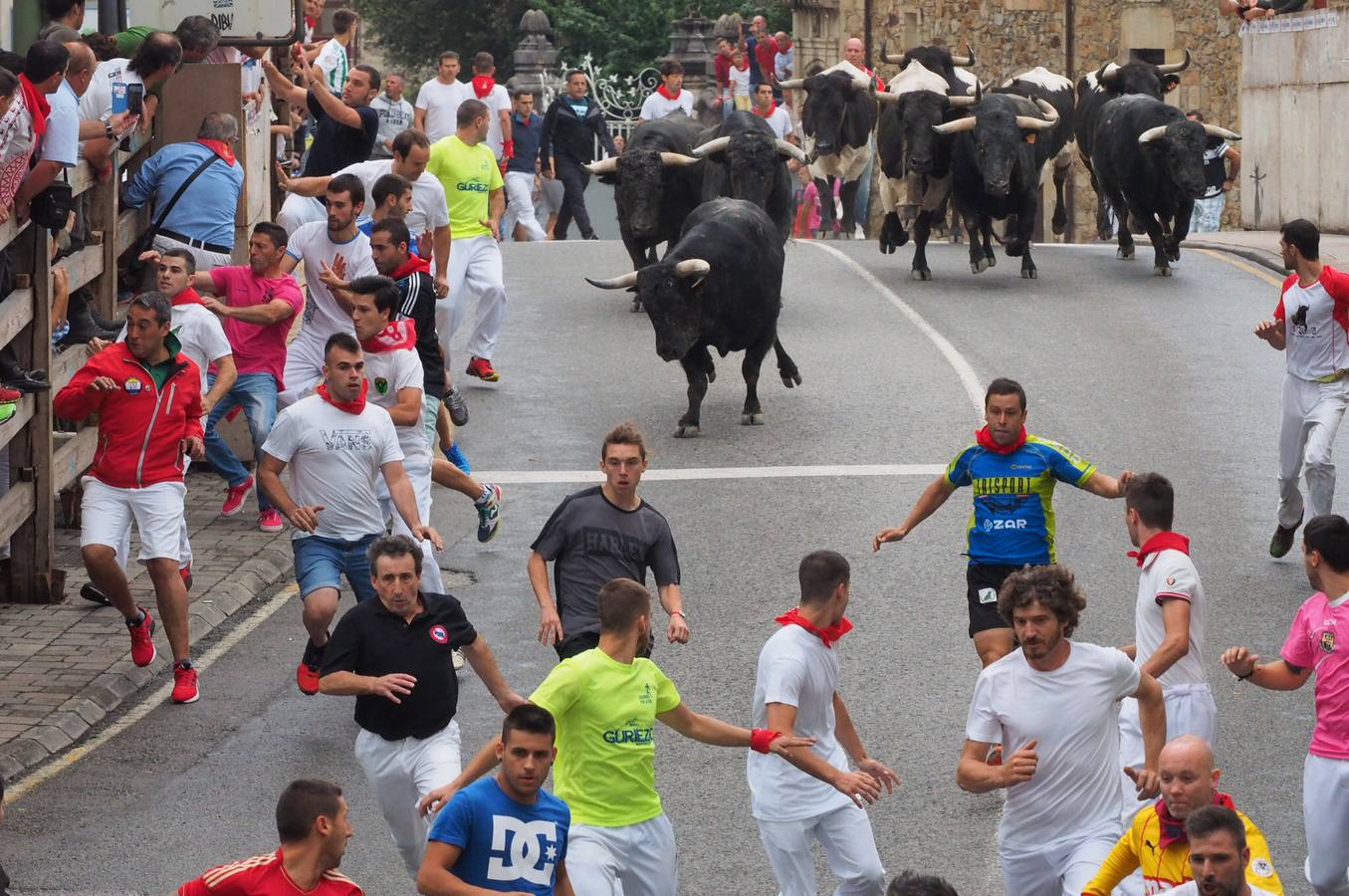 Fotos: Imágenes del primer encierro de las fiestas de Ampuero