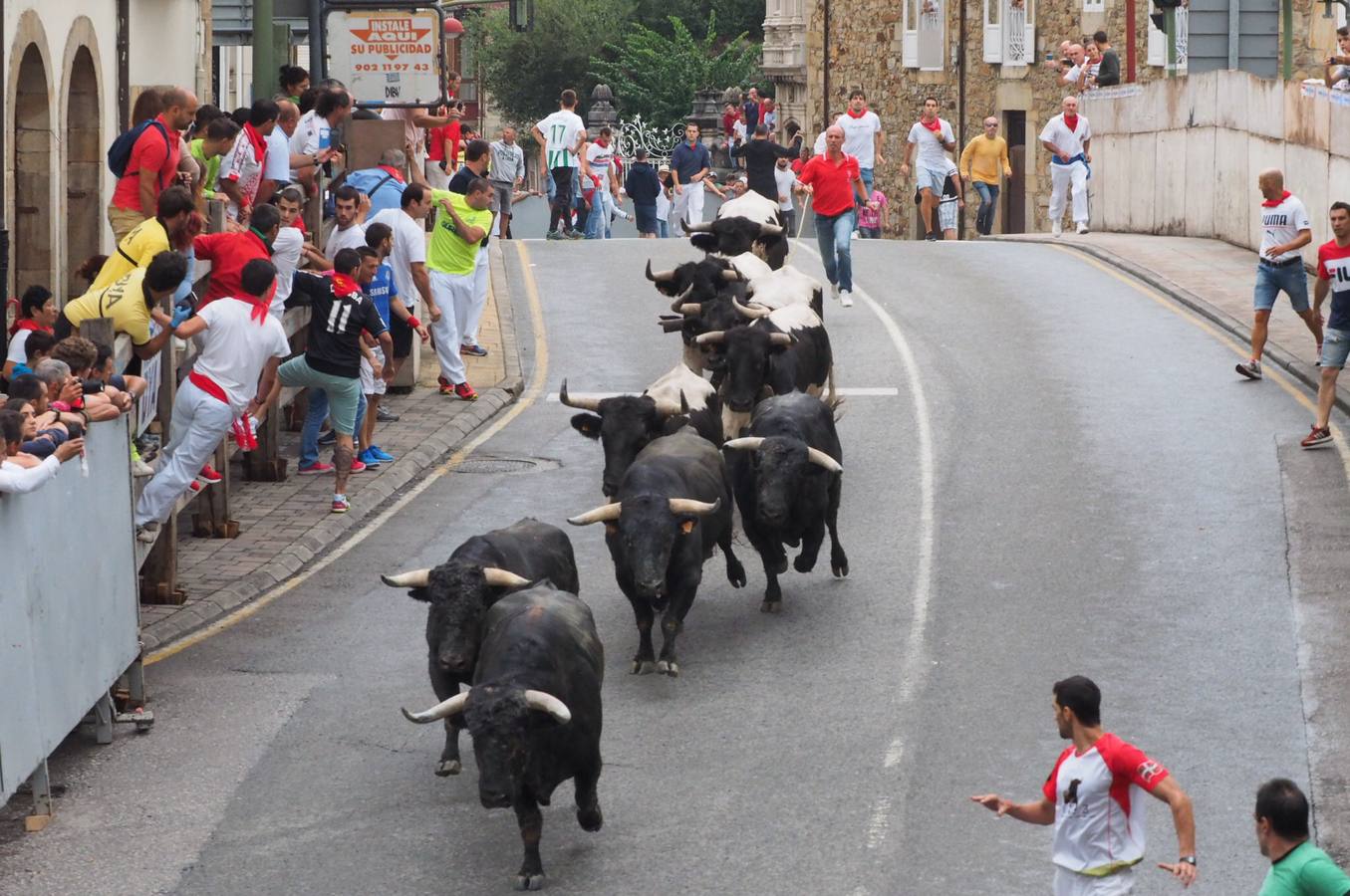 Fotos: Imágenes del primer encierro de las fiestas de Ampuero