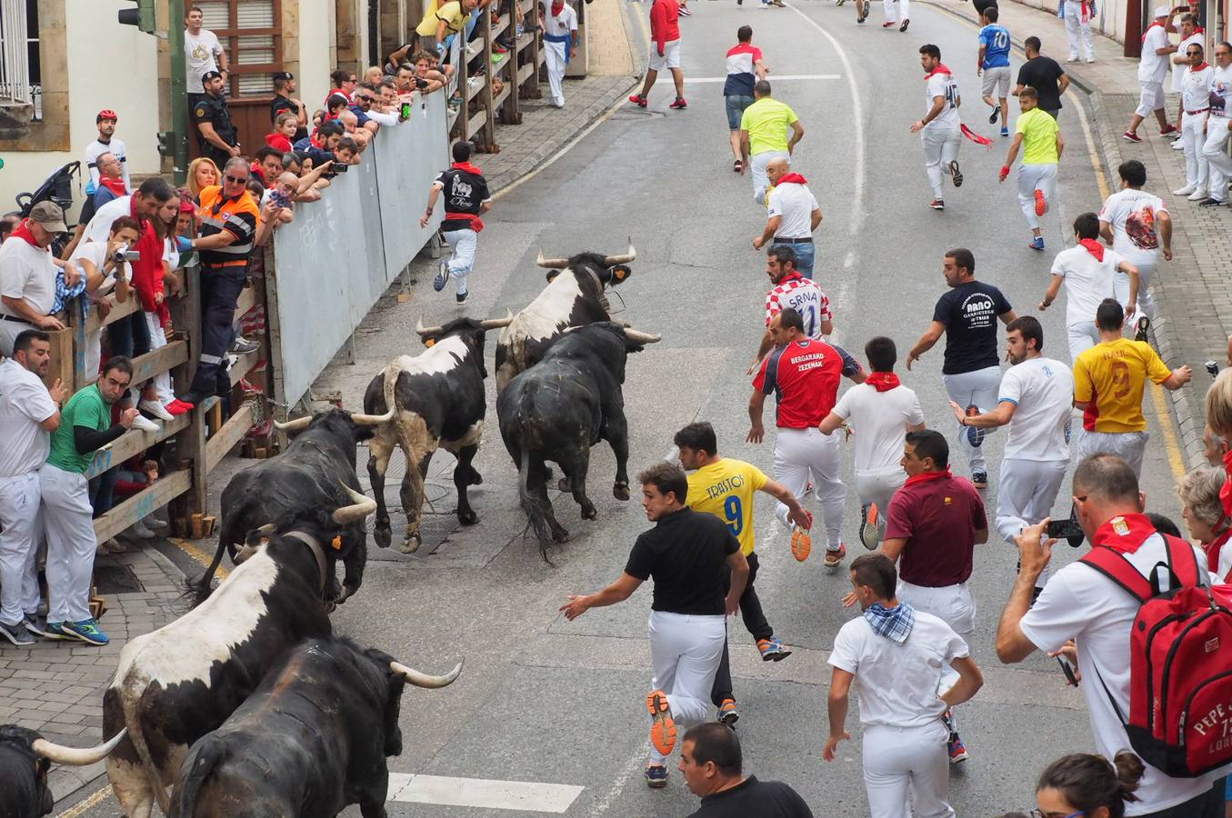 Fotos: Imágenes del primer encierro de las fiestas de Ampuero