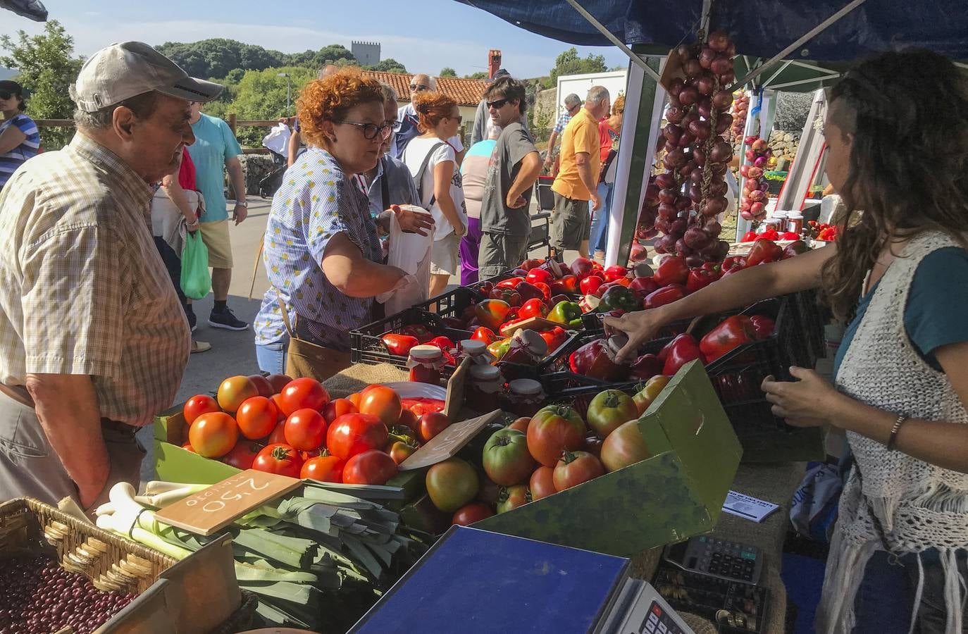 Fotos: La VI Feria del Pimiento de Isla arranca hoy