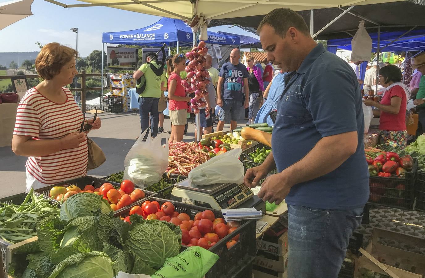 Fotos: La VI Feria del Pimiento de Isla arranca hoy