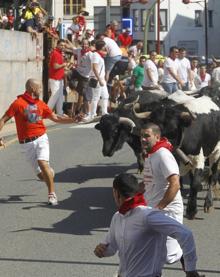 Imagen secundaria 2 - Carreras rápidas y varios contusionados en el segundo encierro de Ampuero