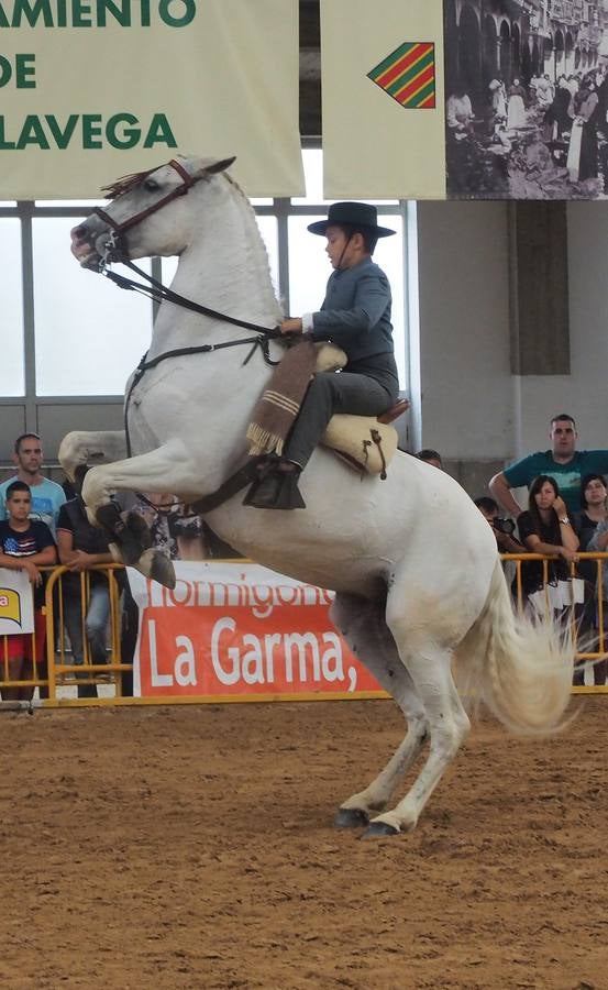 Fotos: Santos Pereira y Francisco Carrera ganan el concurso de caballos