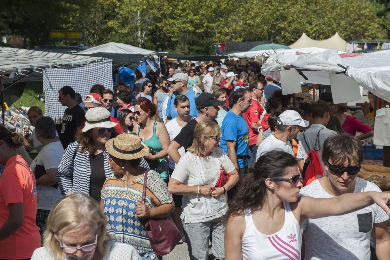 Fotos: Cantabria rinde honores a su patrona