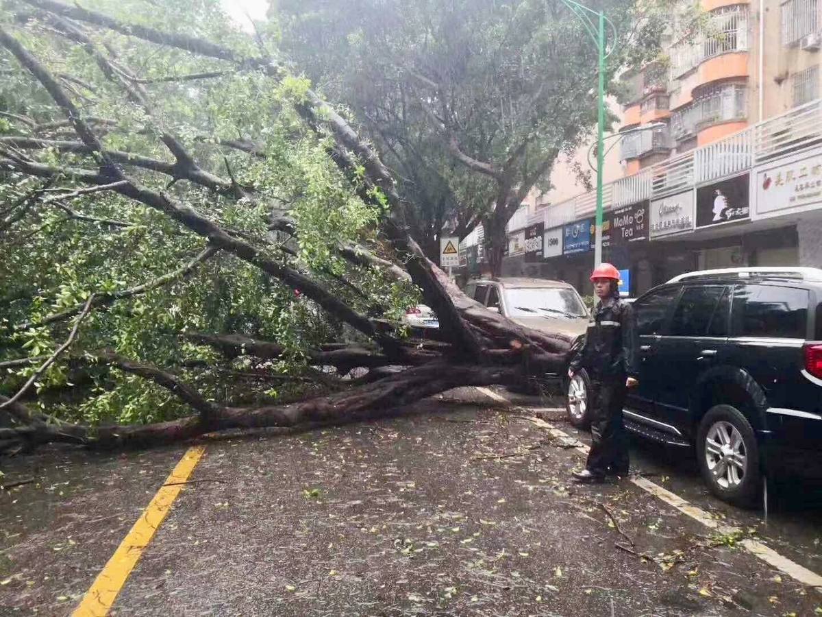 Fotos: Los destrozos del tifón Mangkhut