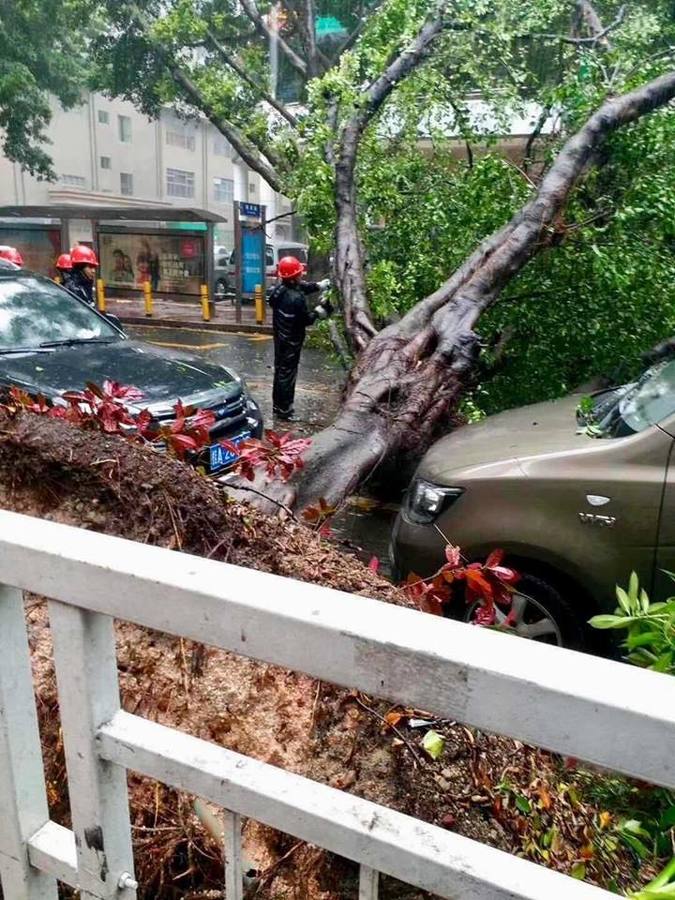 Fotos: Los destrozos del tifón Mangkhut