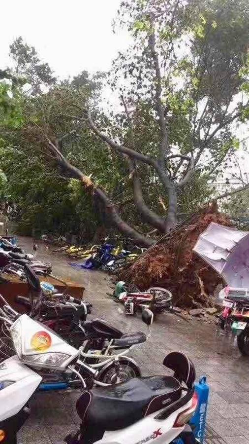 Fotos: Los destrozos del tifón Mangkhut