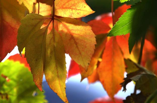 Cantabria saludará este domingo a un otoño más cálido de lo normal