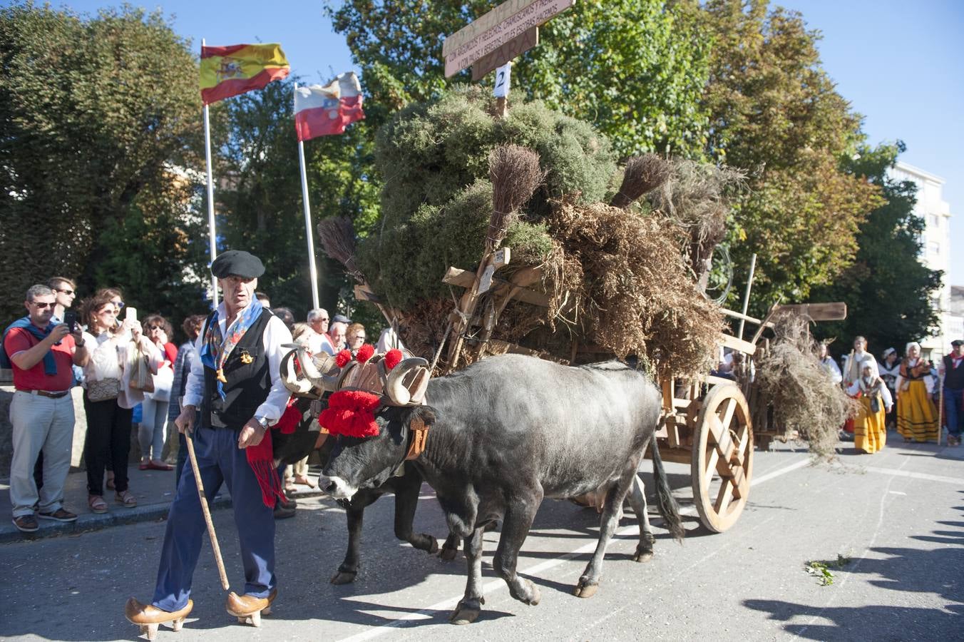 El desfile de carretas ha puesto fin a las fiestas de San Mateo en Reinosa, con el tradicional paseo de carros que, tirados por bueyes o vacas, representan escenas tradicionales de la vida rural de la comarca